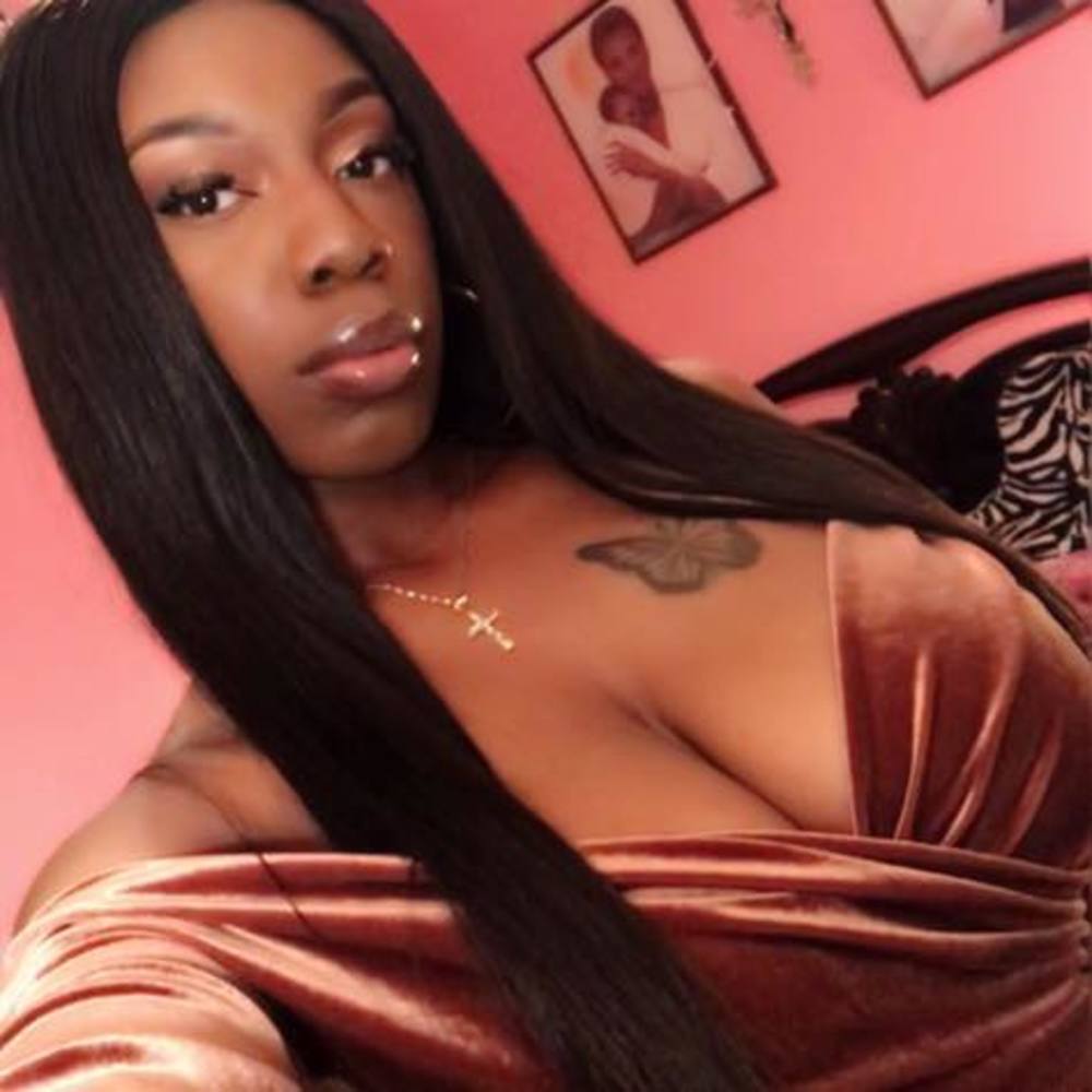 Meet your Posher, Shelby